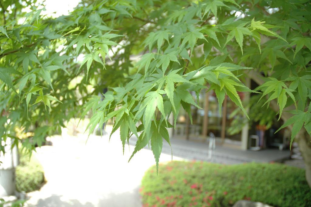 Ryokan Yamabuki